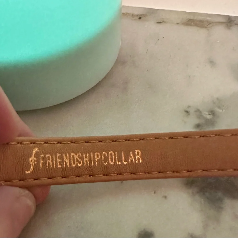 Friendship collar bracelet with matching cat collar love